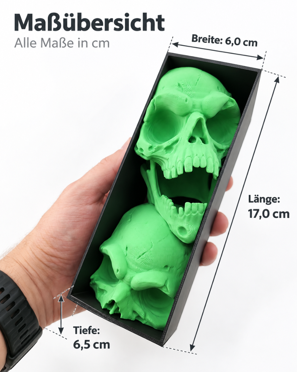 Gothic Schädel-Deko im Rahmen – Skulpturales Design für Regal & Sammler