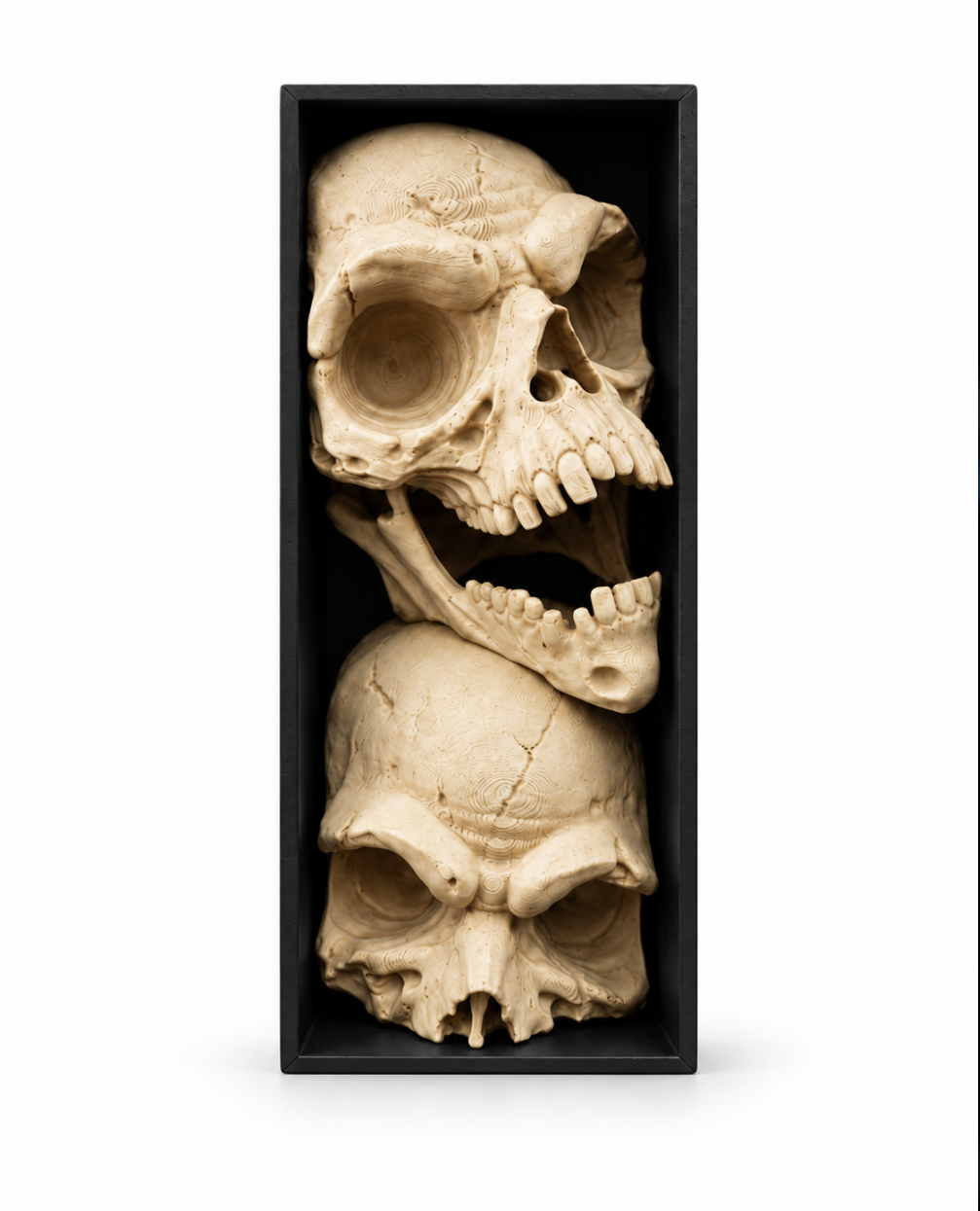 Gothic Schädel-Deko im Rahmen – Skulpturales Design für Regal & Sammler